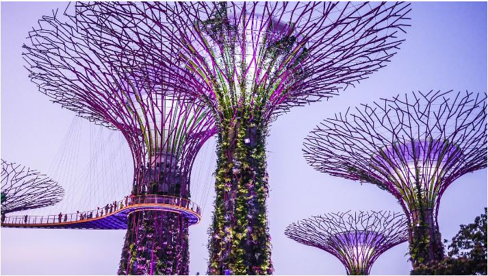 Singapore 6 Nights tour package
